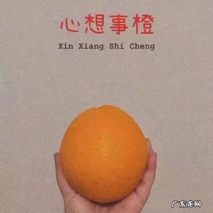 剑网三科举答题器17173 剑网三科举答题器2020