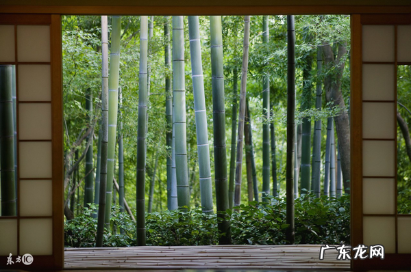 老小区小户型装修 新房子与老房子风水哪个好