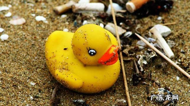 a rubber rubberduck