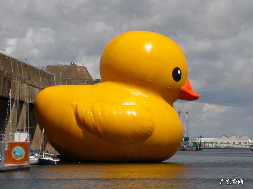 a rubber rubberduck