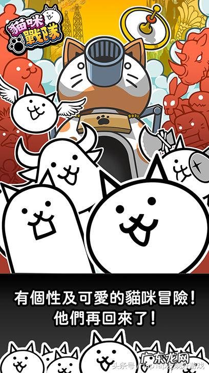 猫咪大战争狂乱 猫咪大战争