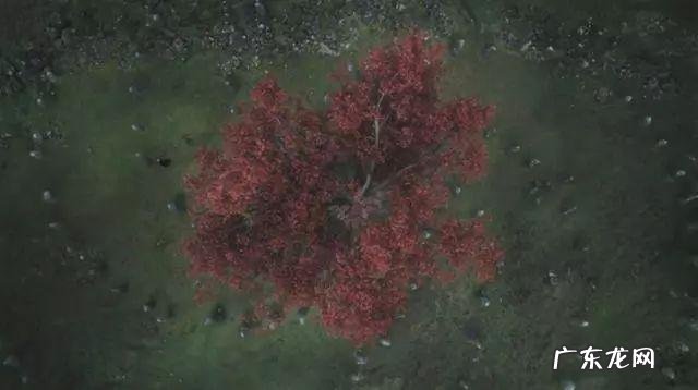 元素女巫 元素之力堕落女巫怎么打