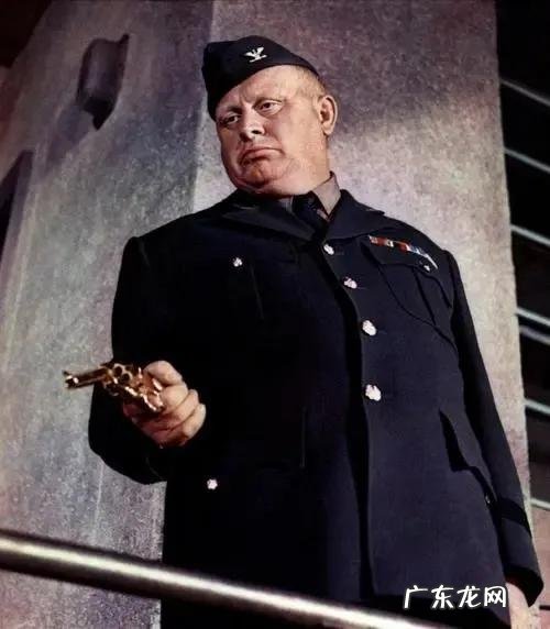 野苏颗粒 多伊是什么意思