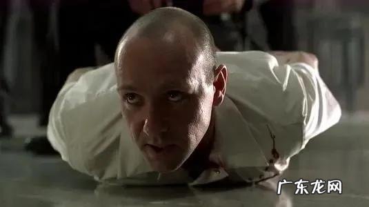 野苏颗粒 多伊是什么意思