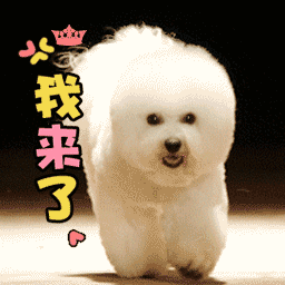 防晒霜哪个好用