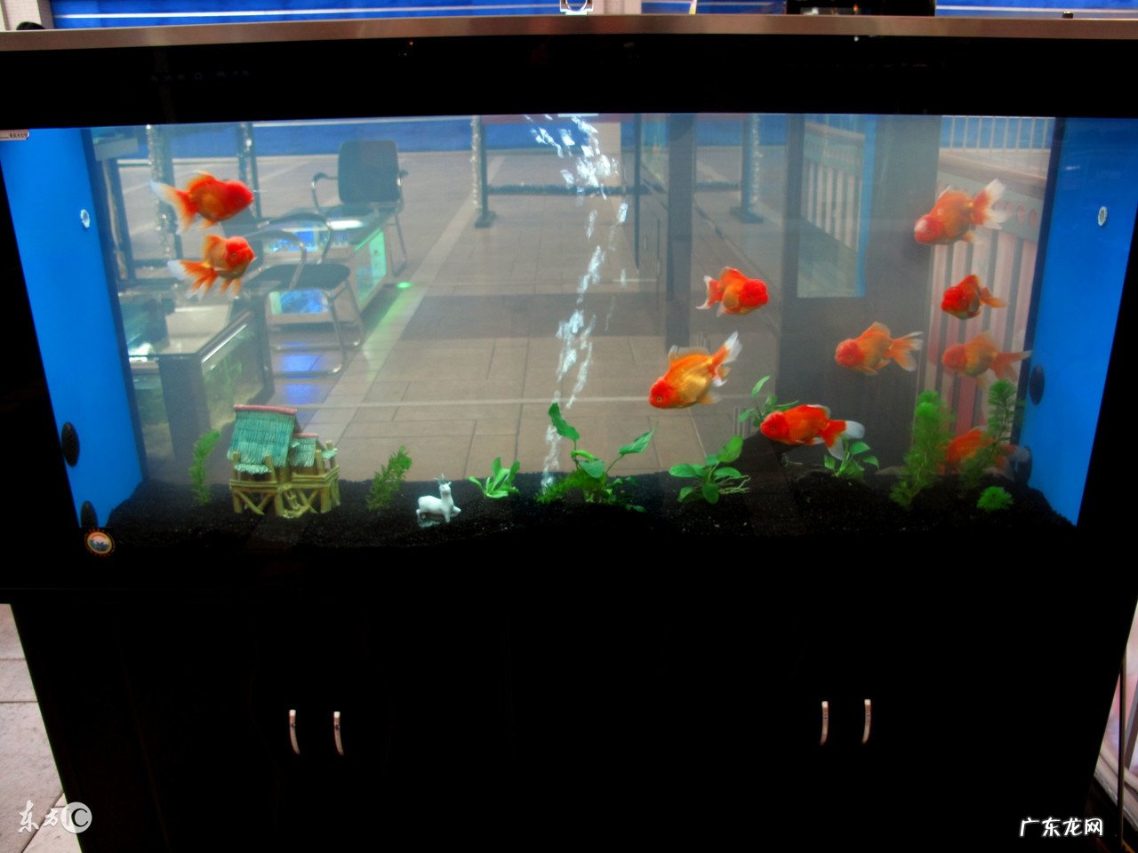 长期失眠没精神可能是你的家居风水所致,现在知道也不晚赶紧调整 房子风水精神不振