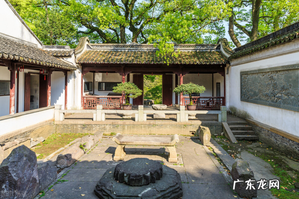 院子里为什么不能种大树？7个原因，看看你知道几个 房子建在大树下风水好吗