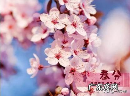 明日春分，农村里有哪些农谚可以预测天气和农事好坏？