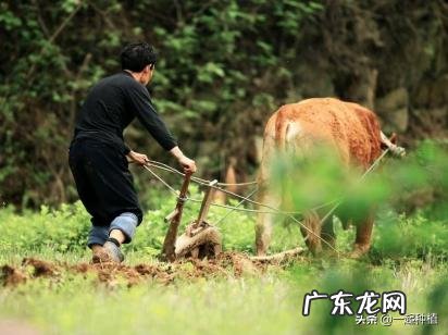 明日春分，农村里有哪些农谚可以预测天气和农事好坏？