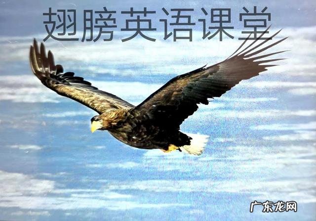 一月到十二月的英语及缩写 英文月份缩写对照表