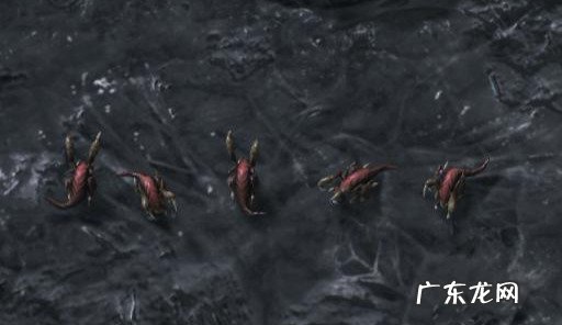 星际争霸2人族快攻战术 星际争霸二人族战术