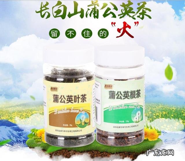 蒲公英叶子和蒲公英根的作用一样吗?