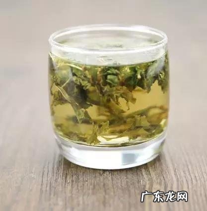 蒲公英叶子和蒲公英根的作用一样吗?