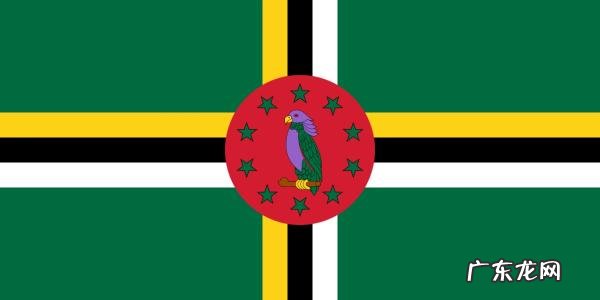 赴美签证申请表,赴美签证申请表格