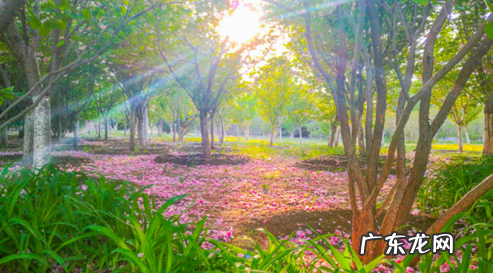 北京城市的浅山住区，即将迎来崭新的发展机遇 把西山的房子风水