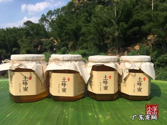 蜂蜜有什么功效,要怎么吃才是正确的?