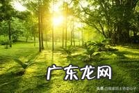 现实生活中,生容易、活很难,怎样才能让自己开心幸福、生活不再迷茫!对生活充满希望?