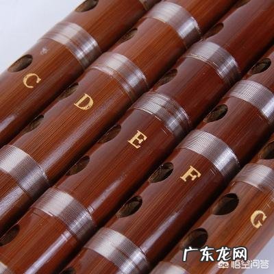 有没有适合小学生的童谣？