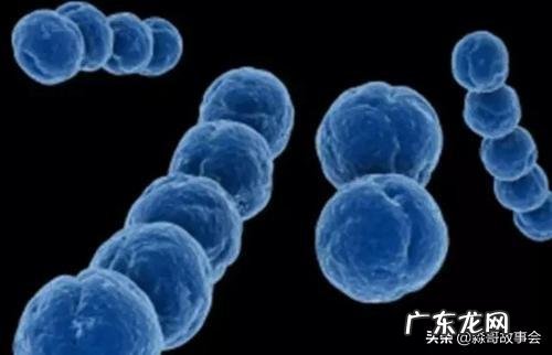 孕妇患有B族链球菌为阳性,会导致出生的宝宝黄疸吗?