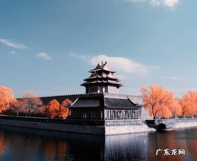 睡莲放在院里方位与风水 睡房放睡莲的风水好吗