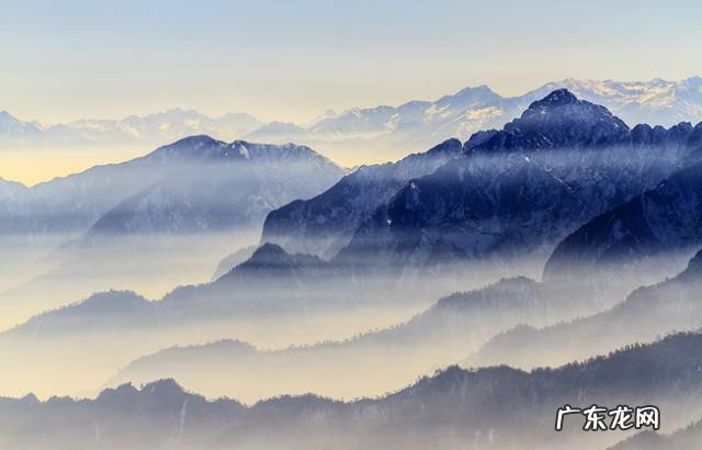 睡莲放在院里方位与风水 睡房放睡莲的风水好吗