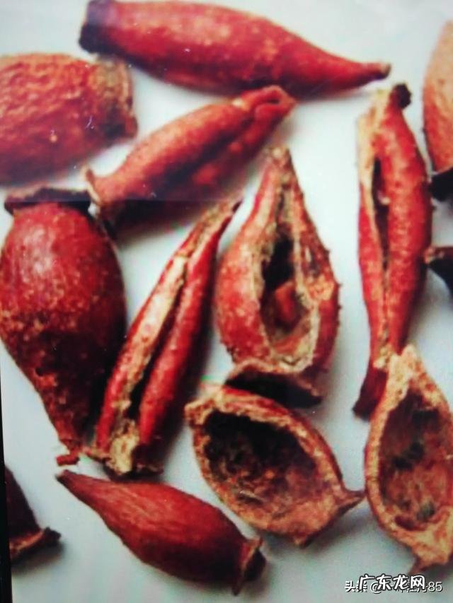 金樱子有什么功效?