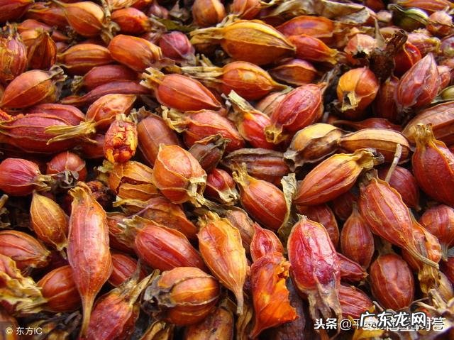 金樱子有什么功效？