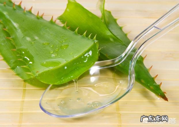 芦荟和哪些植物有美容养颜功效?