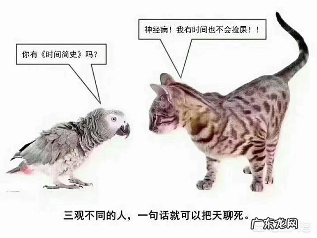 面对职场冷暴力,职场小白是忍还是走?