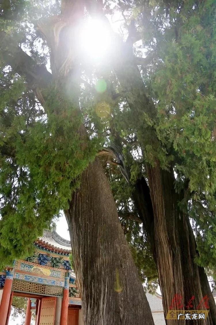 盘克镇胡堡村 盘克镇风水先生是谁