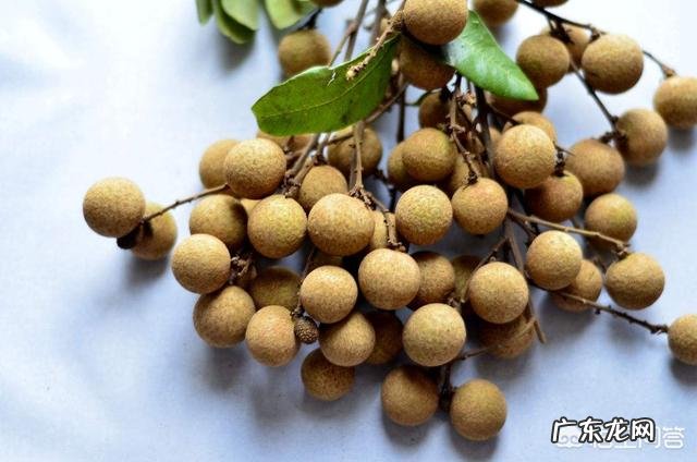 龙眼有哪些功效和作用？