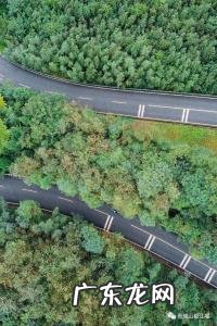 青城山旅游路线,青城山旅游路线示意图