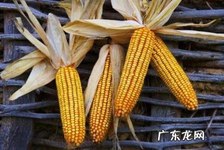 面粉多少钱一斤,面粉多少钱一袋50斤