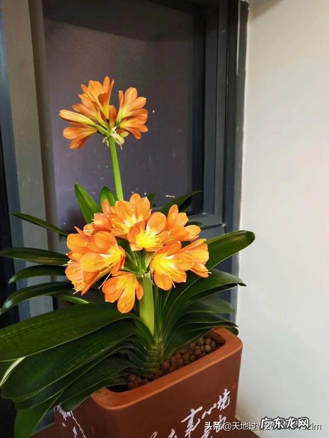 为什么一个人的婚姻非常不顺?