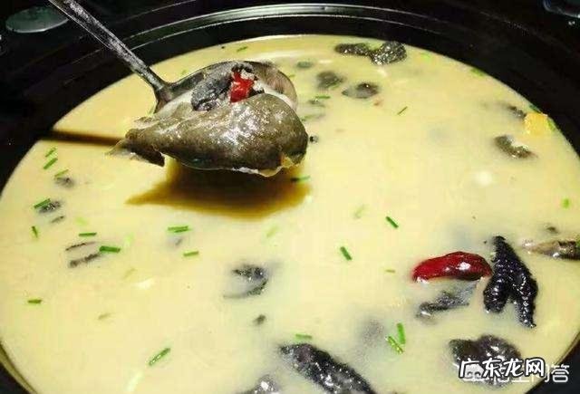 甲鱼大补汤怎么做?