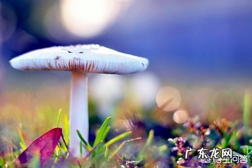 无爱的婚姻到底还要不要坚持?