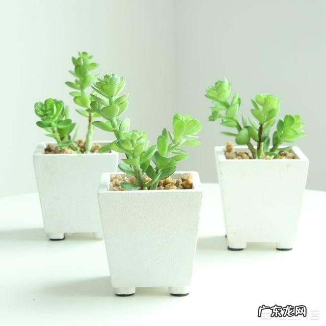 无爱的婚姻到底还要不要坚持?