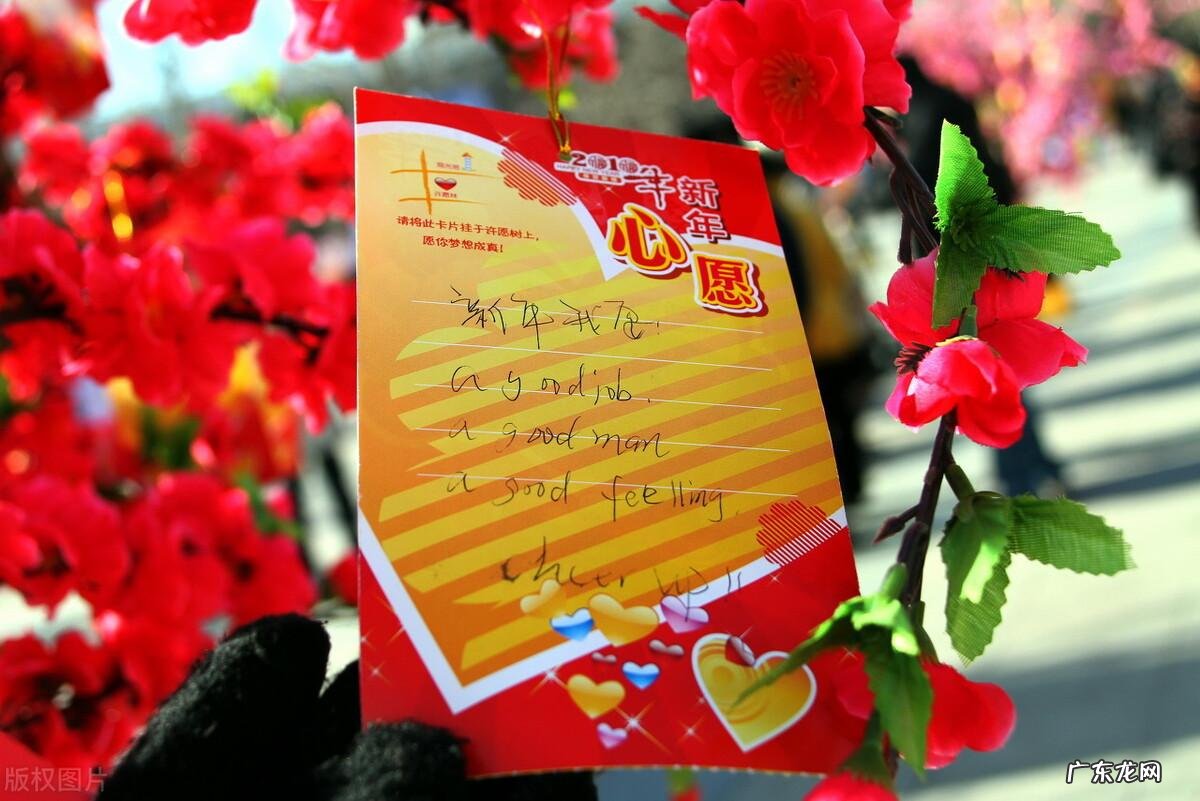 虎虎生威的动物 虎虎生威是成语吗