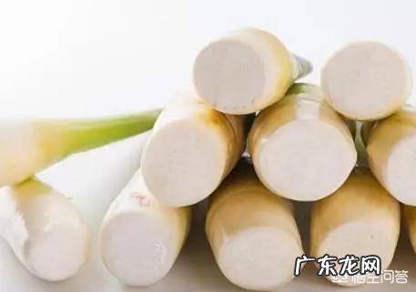 白露要到了,有哪些习俗,要如何养生?