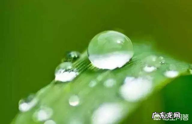 白露要到了,有哪些习俗,要如何养生?