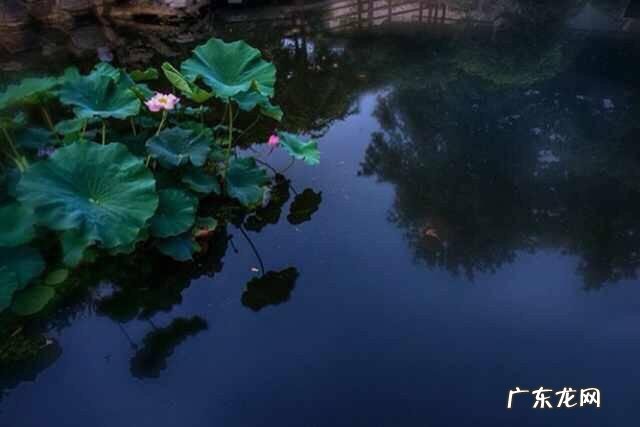 中秋节主题的诗词散文有哪些?