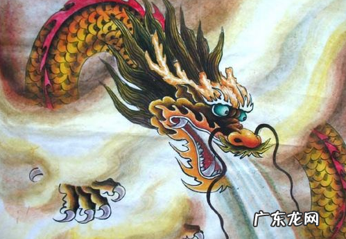 属龙楼层 属龙的风水