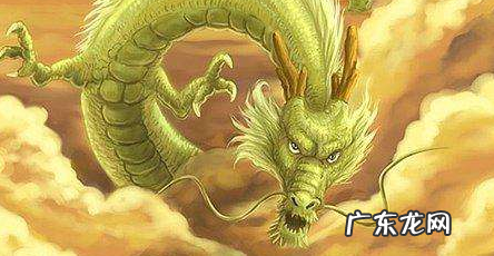 属龙楼层 属龙的风水