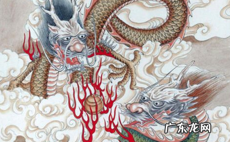 属龙楼层 属龙的风水