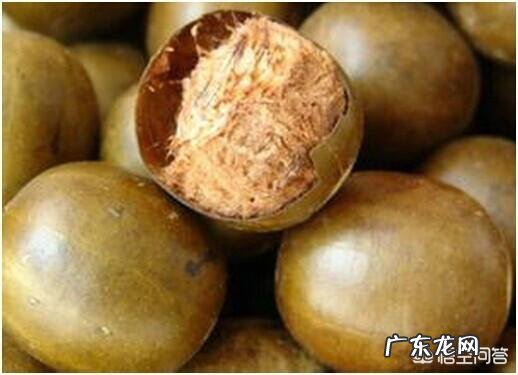 罗汉果泡的水有什么功效？