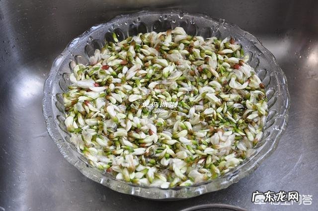 能入菜的鲜花有哪些？