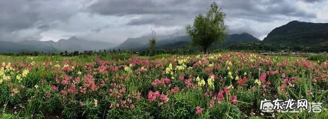 有社交恐惧症是一种怎样的体验？