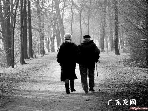 “执子之手,与子偕老”是怎样成为经典传统、耳熟能详的爱情盟约、婚姻誓言呢?