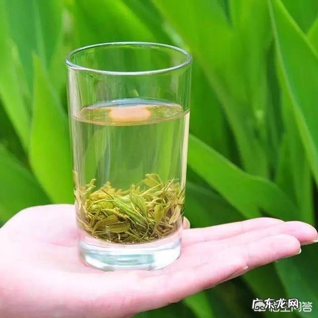 茶叶中的氨基酸有哪几种？