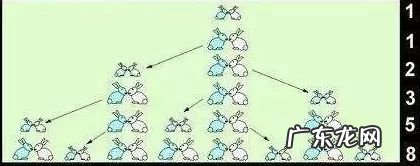 斐波那契数列前100位 斐波那契数列是什么